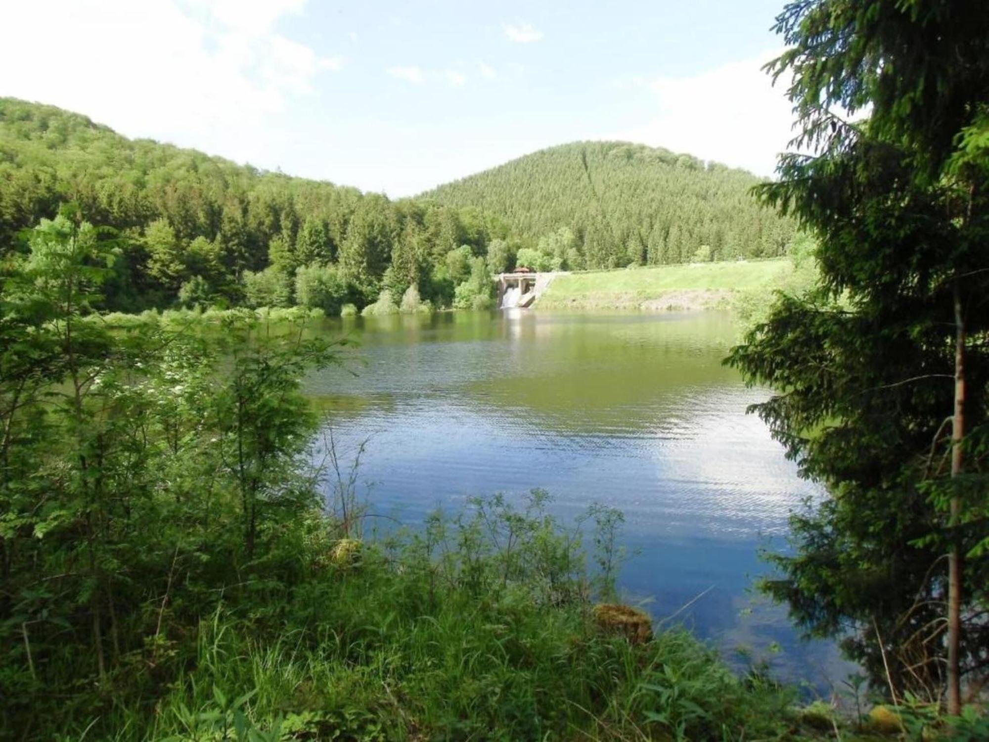 Detached Holiday Residence In The Wonderfully Beautiful Harz Kamschlacken Exterior foto